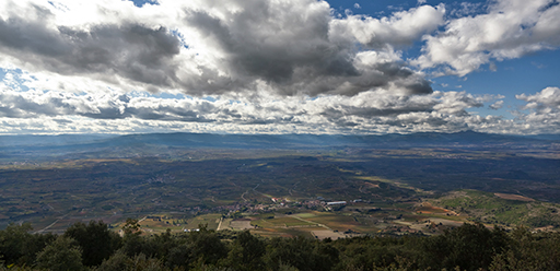 Pasaje de viñedos en La Rioja.