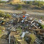 foto1_opt