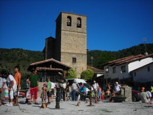 IMG_2955