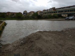 ARNEDO