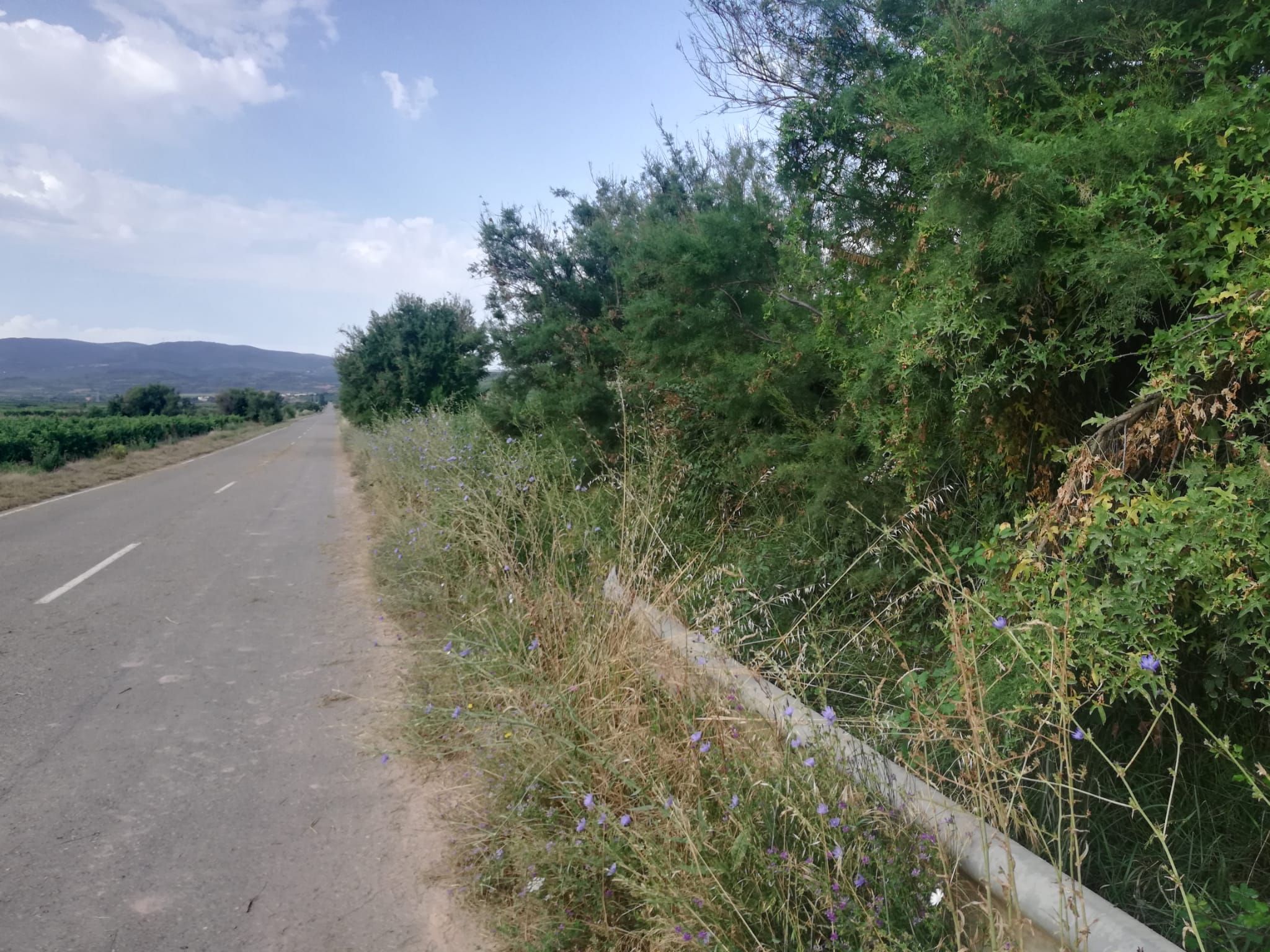 Foto cuneta