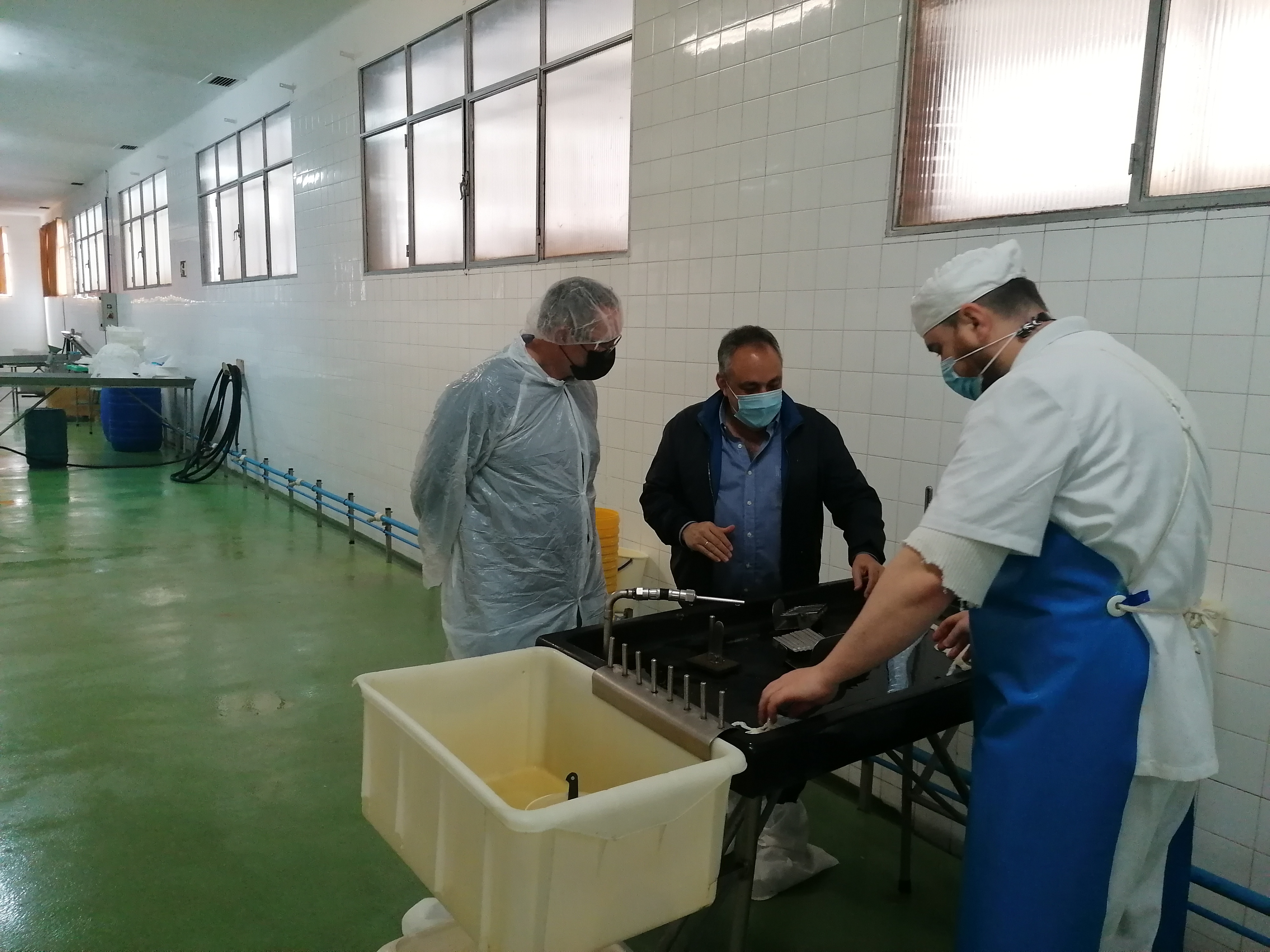 visita dogo antoñanzas mayo