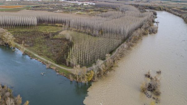 Un afluente turbio desemboca en el río Ebro, en un área incluida en el proyecto LIFE Ebro Resilience. (via ebroresilience.com)