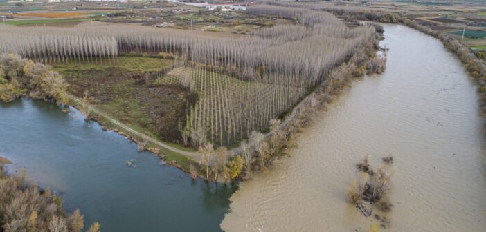 Un afluente turbio desemboca en el río Ebro, en un área incluida en el proyecto LIFE Ebro Resilience. (via ebroresilience.com)